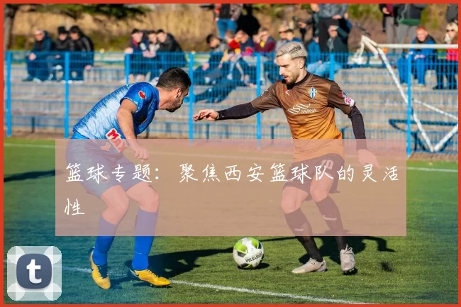 篮球专题：聚焦西安篮球队的灵活性