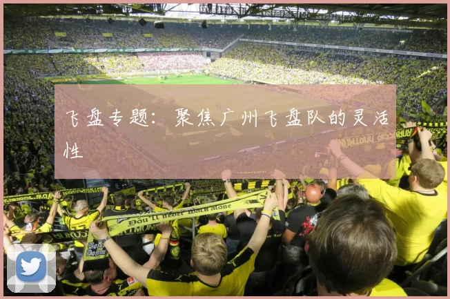 飞盘专题：聚焦广州飞盘队的灵活性