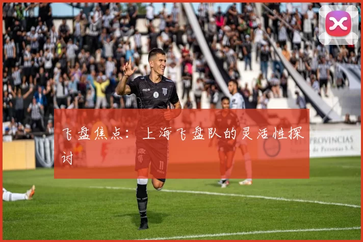 飞盘焦点：上海飞盘队的灵活性探讨