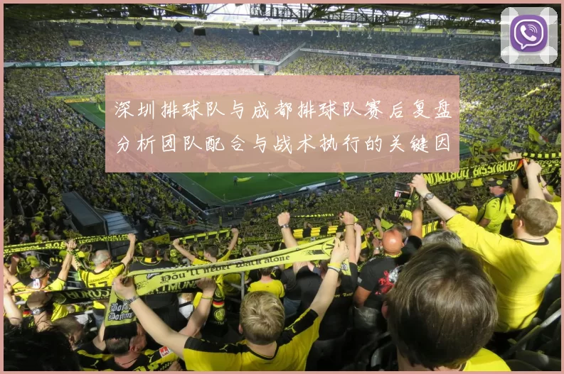 深圳排球队与成都排球队赛后复盘分析团队配合与战术执行的关键因素