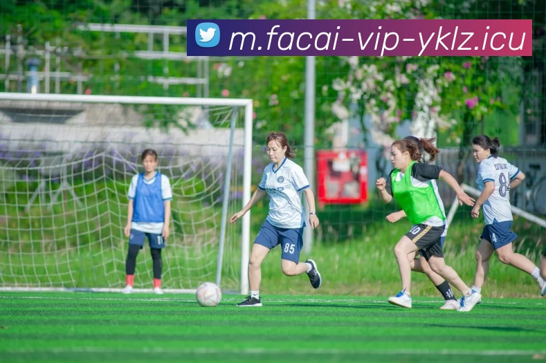 开云体育品牌故事